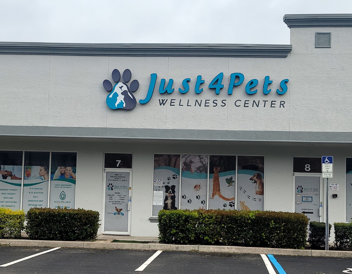 20220929_080850(2) (1)